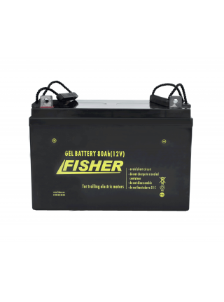 Электромотор Fisher 55 + 2 аккумулятора 80Ah